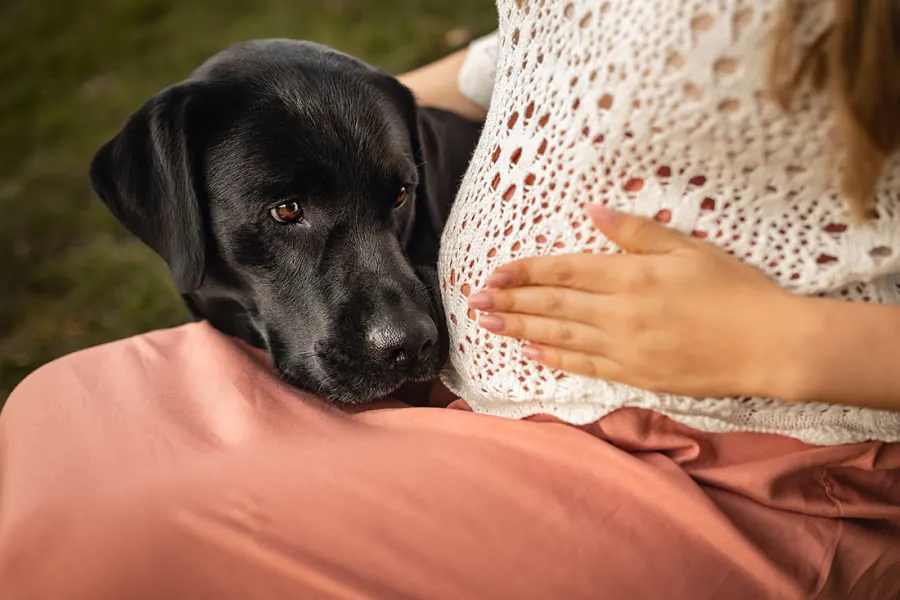 Shooting – Babybauch Sarah — Aufnahme aus der Bilderstrecke