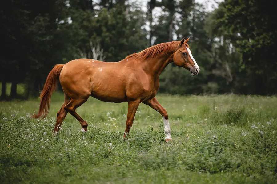 Shooting – Weissherbst — Aufnahme 6