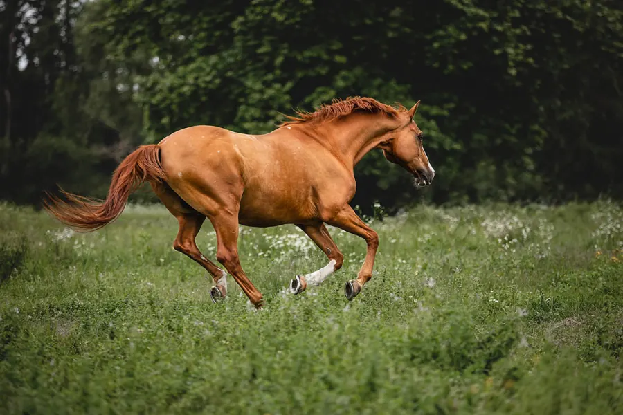 Shooting – Weissherbst — Aufnahme 7