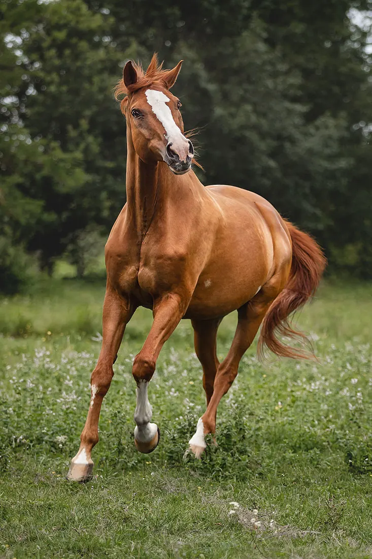 Shooting – Weissherbst — Aufnahme 8