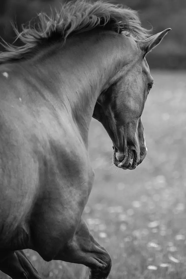 Shooting – Weissherbst — Aufnahme 12