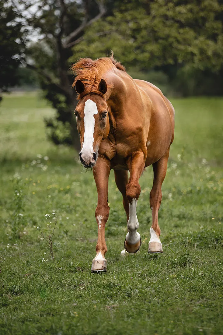 Shooting – Weissherbst — Aufnahme 13