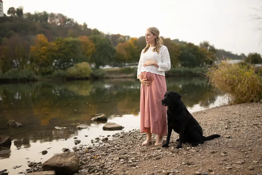 Labrador und Schwangere — vorher, unbearbeitet