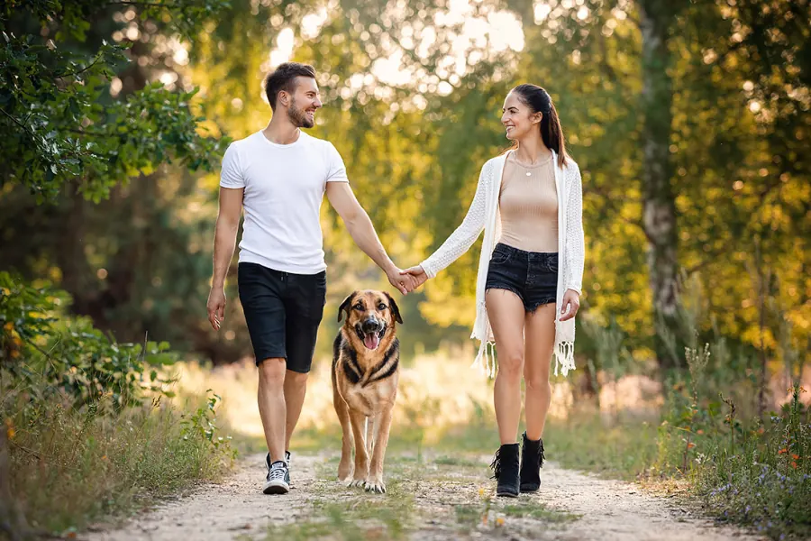 Hundefotografie — Aufnahme 10