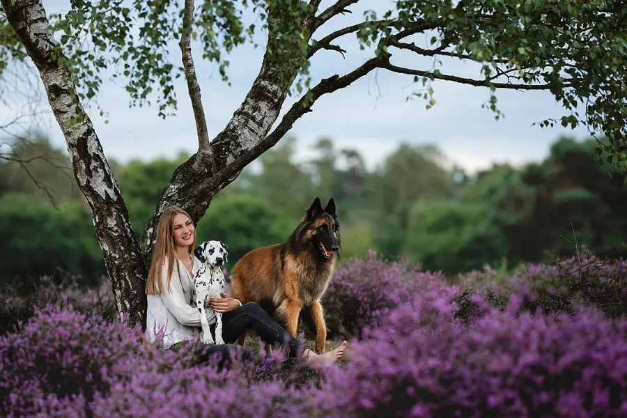Hundefotografie — Aufnahme 36