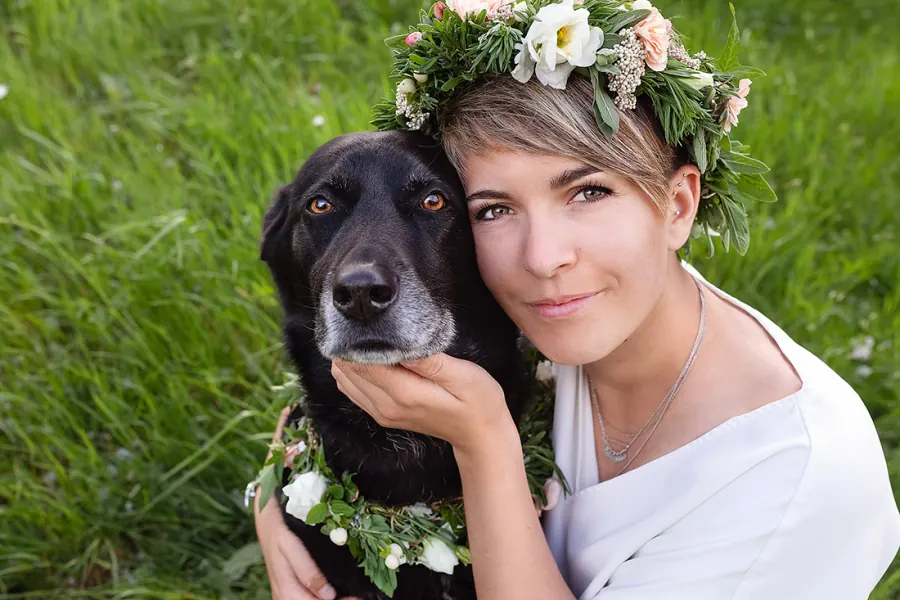 Hundefotografie — Aufnahme 41