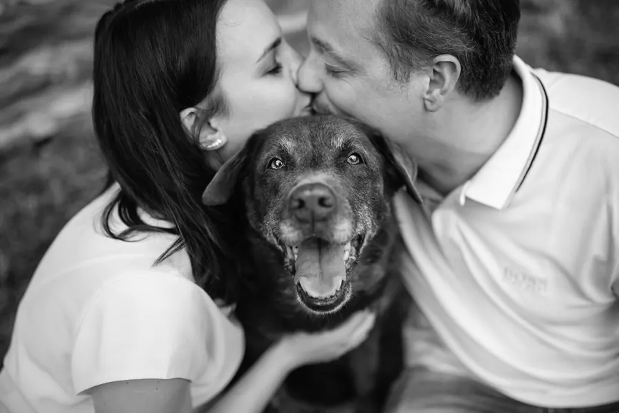 Hundefotografie — Aufnahme 68