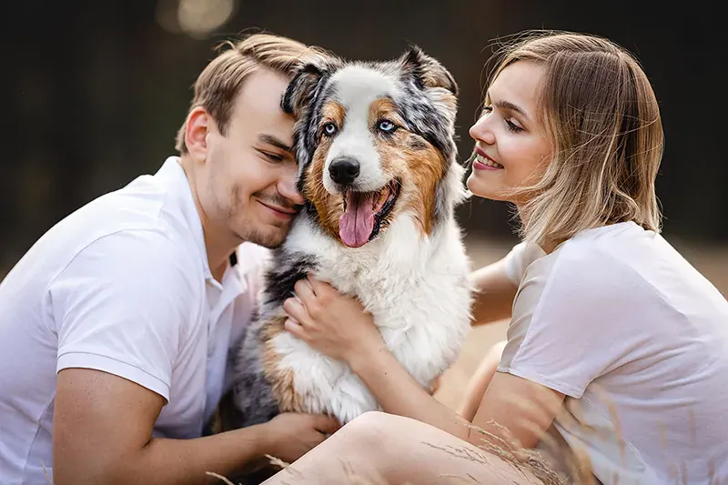 Hundefotografie — Beispielbild