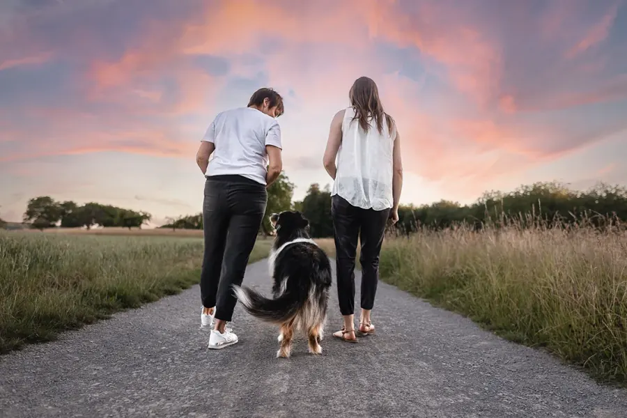 Alter Aussie-Hund im Abschieds-Shooting bei Mosbach
