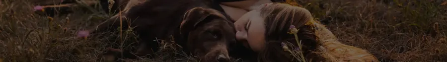 Labrador kuschelt mit seiner Besitzerin — Vertrauen im Hundeshooting