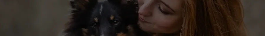 Sheltie kuschelt mit seiner Besitzerin